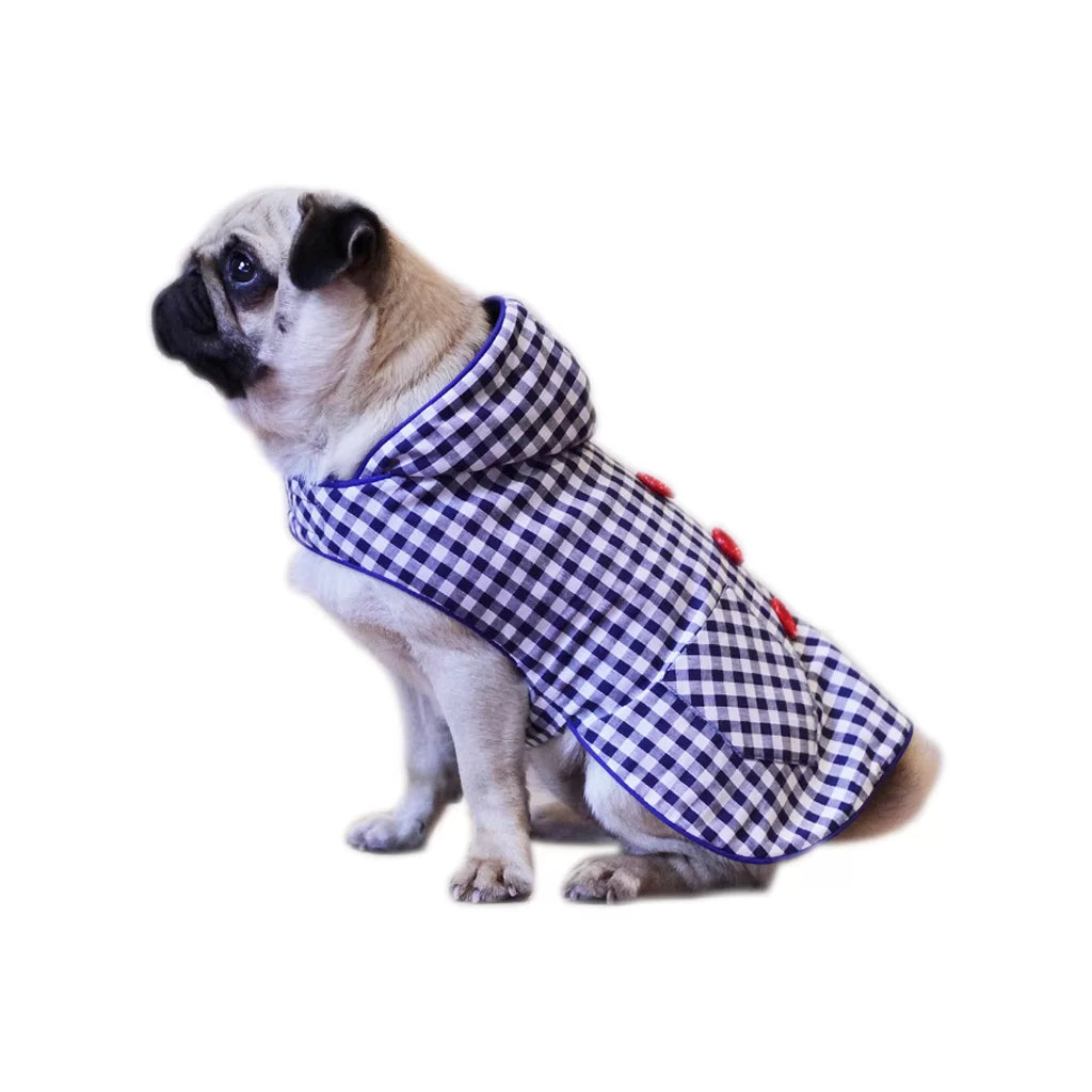 Blue Biscuit by Doggy Doo Little-1