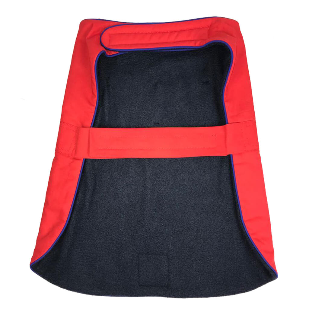 British by Doggy Doo Little-1