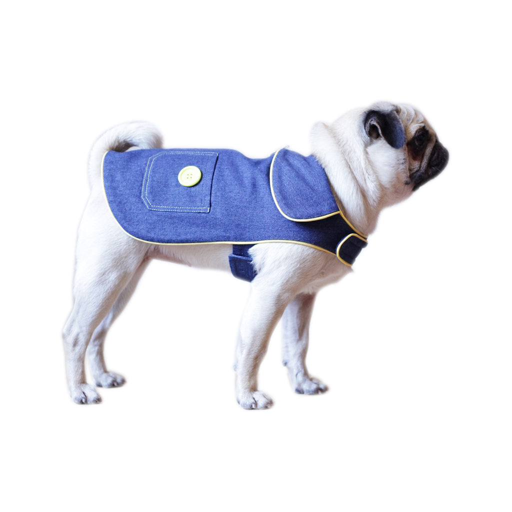 Denim 1 by Doggy Doo Little-1