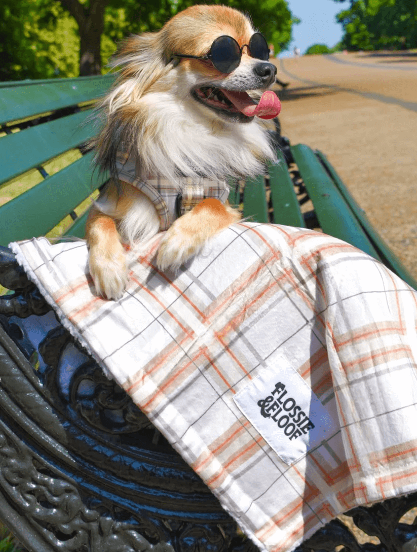 Oxford "Sand" Dog Blanket – by Flossie & Floof